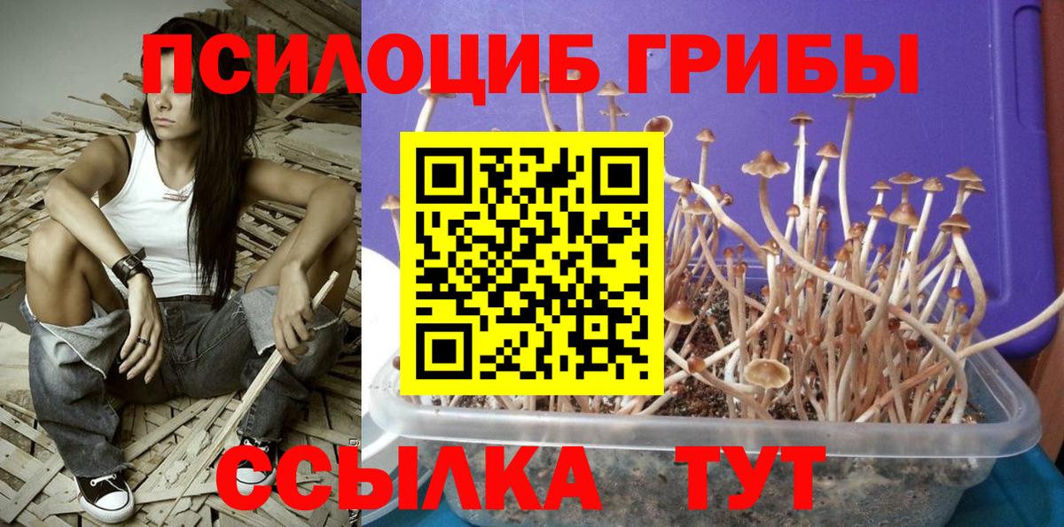 Галлюциногенные грибы Magic Shrooms  Вход с VPN  Елабуга  Псилоцибиновые грибы мицелий 