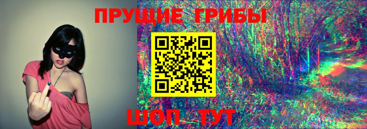 Псилоцибиновые грибы Psilocybe Елабуга